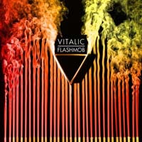 Vitalic - Flashmob