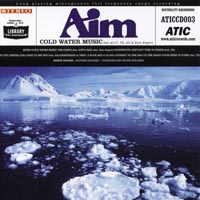Descubriendo al artista musical Aim: su historia, estilo y conciertos memorables