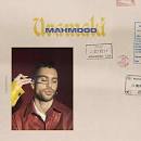 Mahmood — Luna