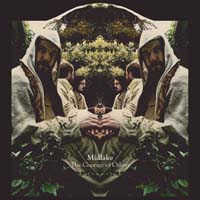 Midlake: un viaggio nella carriera musicale del gruppo