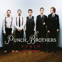 Unpacking Punch's Latest Project: Positive Reception or Critique?