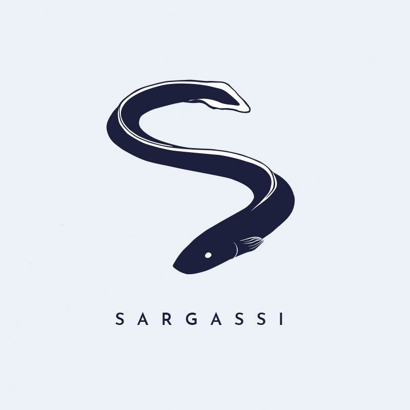 Sargassi: El talentoso artista musical que debes conocer