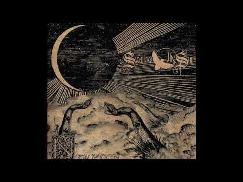 Sleepless Swans