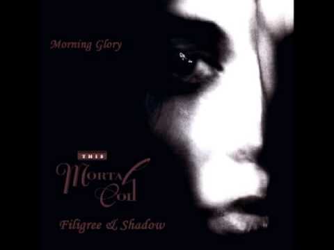 Morning Glory