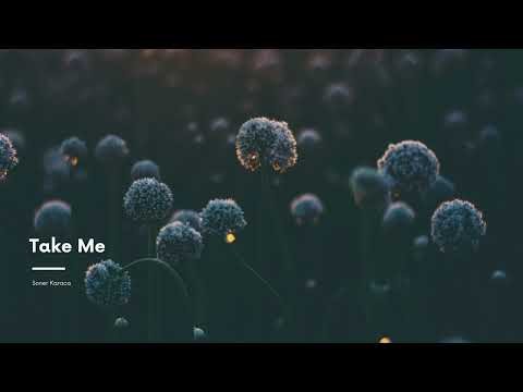 Take Me