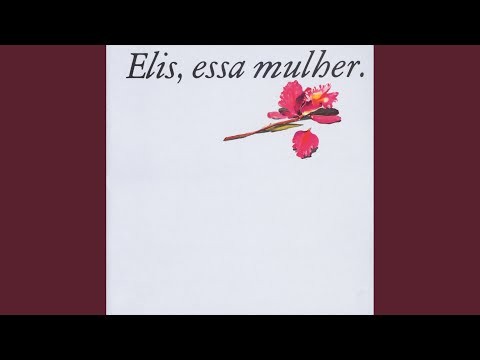 O Bêbado E A Equilibrista