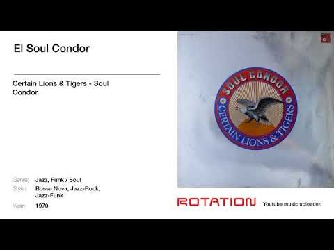El Soul Condor