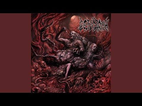 Parasitic Worms &amp; Prenatal Cranial Deformation