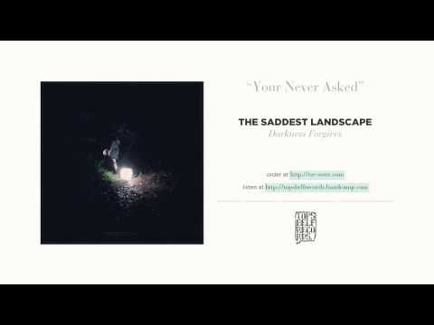 You Never Asked