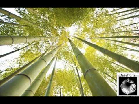 Neva Soft (nu:tone Remix)