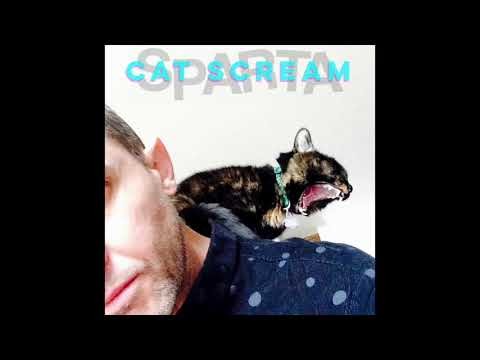 Cat Scream