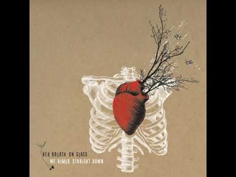 ...and Then We Grew Wings
