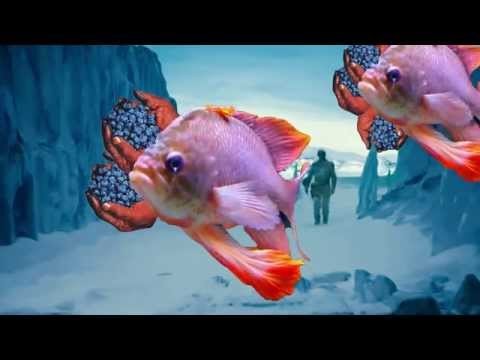 Morphine