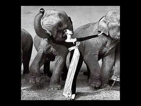 A Swingin' Safari