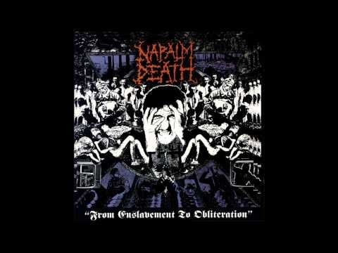 Cock-rock Alienation