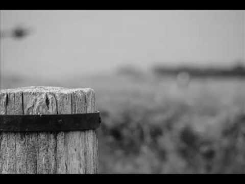 The Cinematic Orchestra - Flite