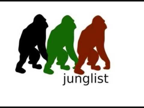 Dred Bass (pa Mix)