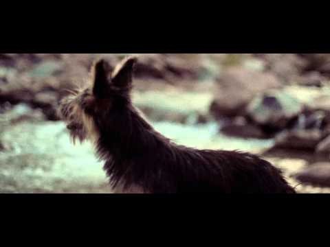 Vacanos (Cumbia Mix)