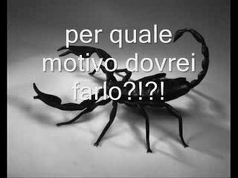 La Rana E Lo Scorpione