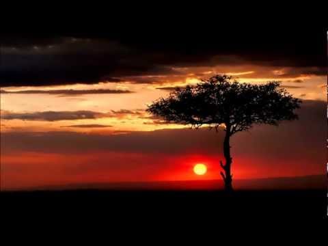 Nu - This Land