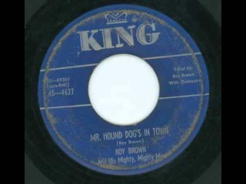 Mr Hound Dog's In Town
