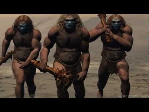 Troglodyte