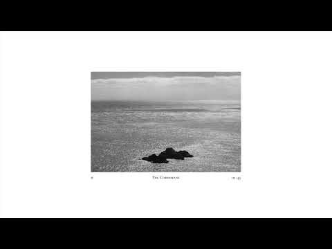 The Cormorant