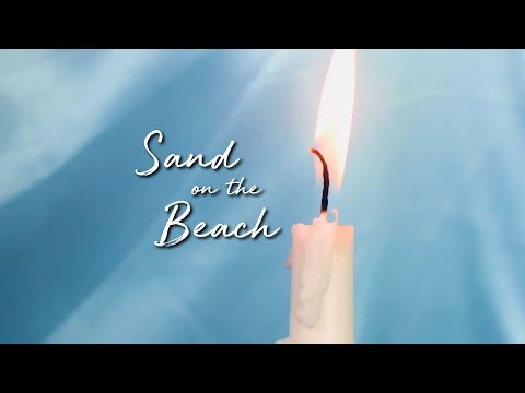 Sand On The Beach