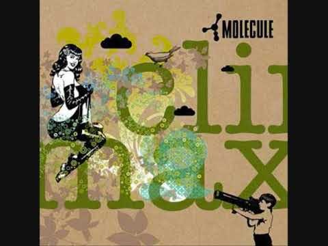 Molecule - Suspicion