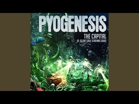 The Capital (a Silent Soul Screams Loud) - Single Edit