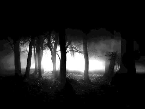 Born Of The Dark