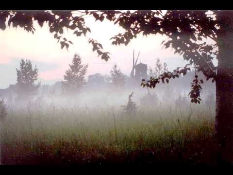 Nebbia