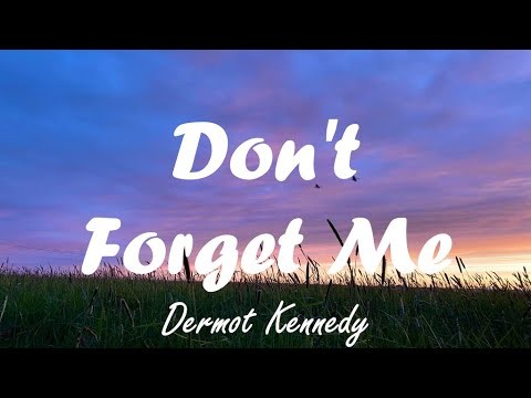 Don't Forget Me