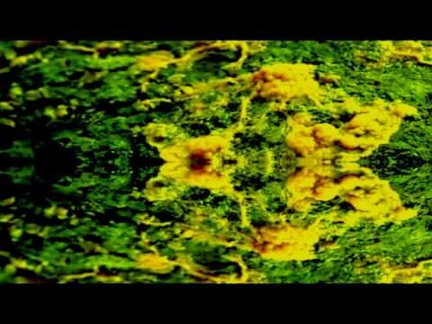 Russian Circles - Fathom