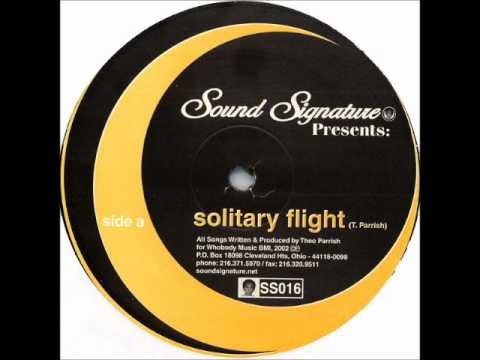 Solitary Flight