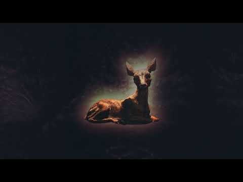 Line Of Fire (feat. Sharon Van Etten)