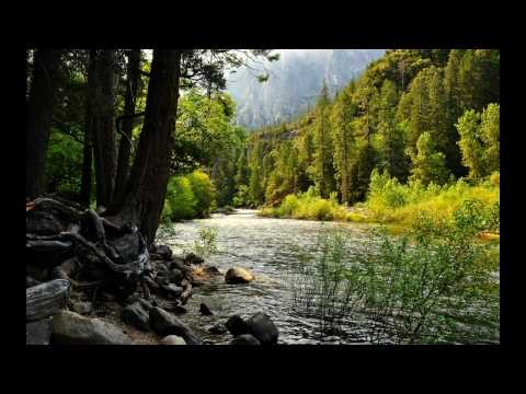 The B.keeper Syndrome - Untitled