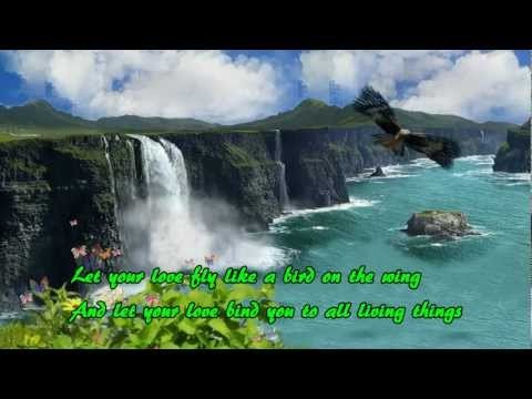 Bellamy Brothers - Let Your Love Flow