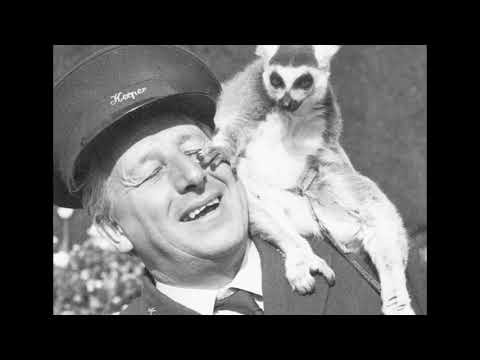 Animal Magic