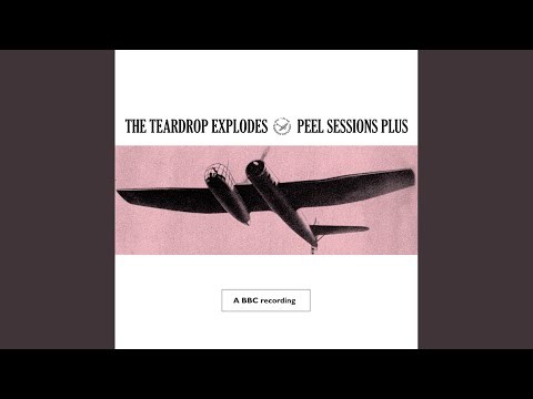 Better Scream/make That Move - Bbc Session Peel Plus 1981