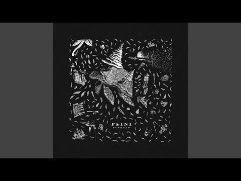 Flâneur (feat. Anomalie)