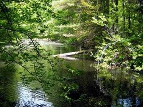 Daniel Boone - Beautiful Sunday