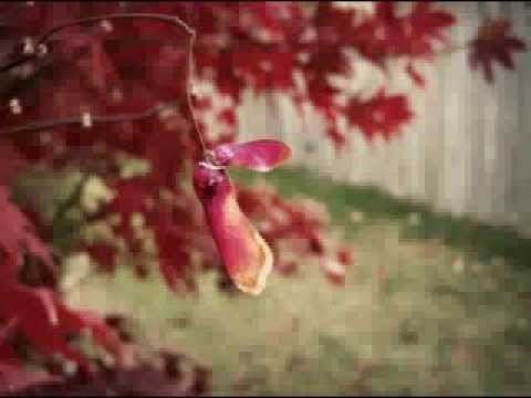 The Cinematic Orchestra - Postlude