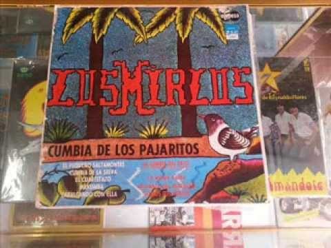 Cumbia De Los Pajaritos