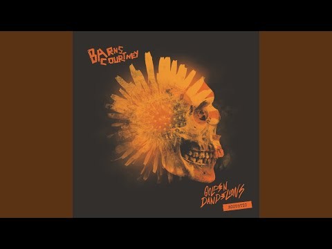 Golden Dandelions - Acoustic