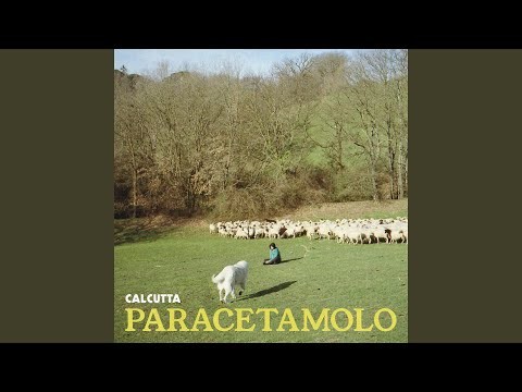 Paracetamolo