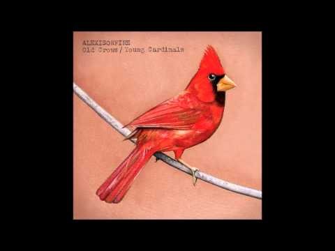 Old Crows
