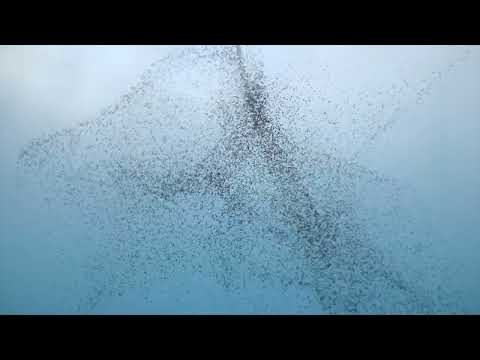 Big Wide World (reimagined For Piano)