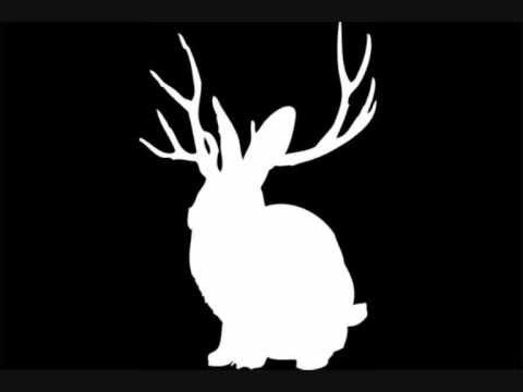 Animal (crookers Remix)