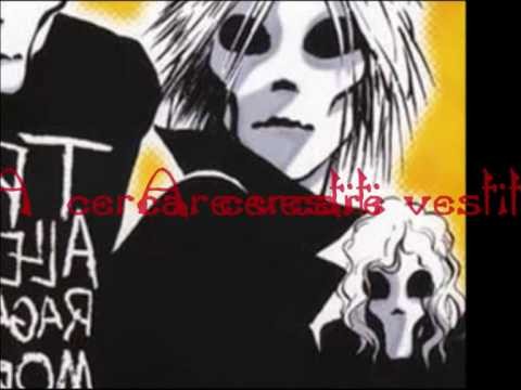 Rock &amp; Roll Dell'idiota
